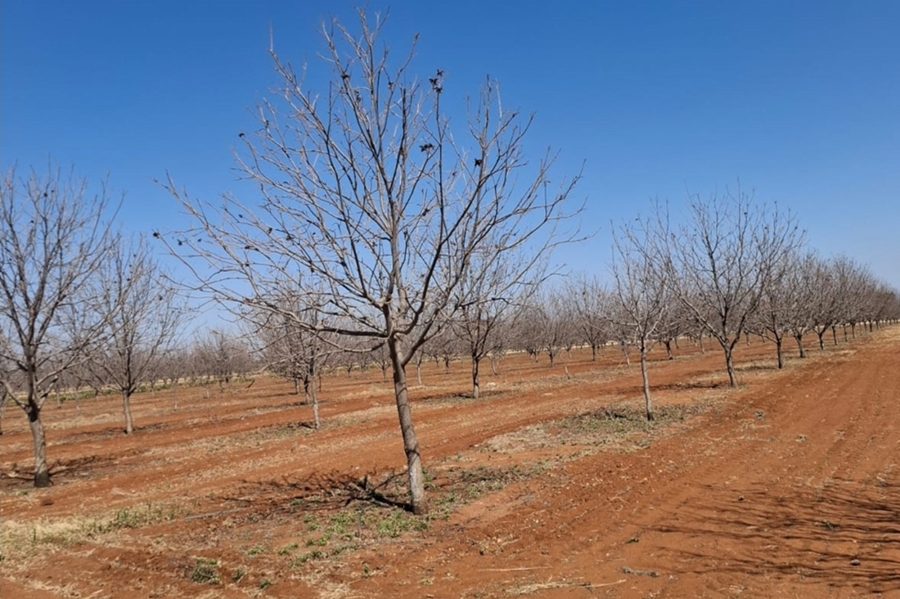 0 Bedroom Property for Sale in Hartswater Northern Cape